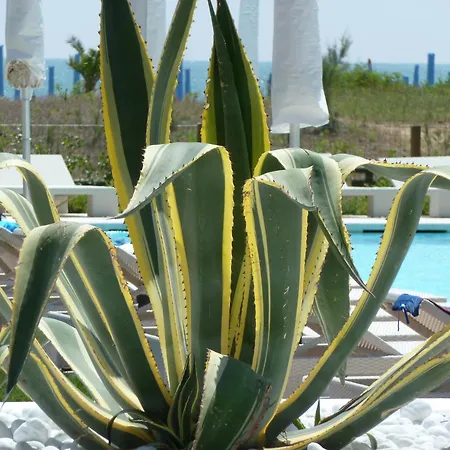 מלון Mediterraneo Suite&residence לידו די ג'סולו